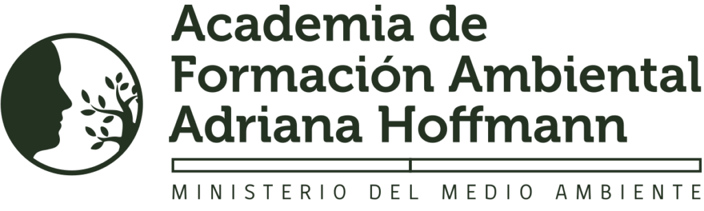 Logo Academia de Formación Adriana Hoffman