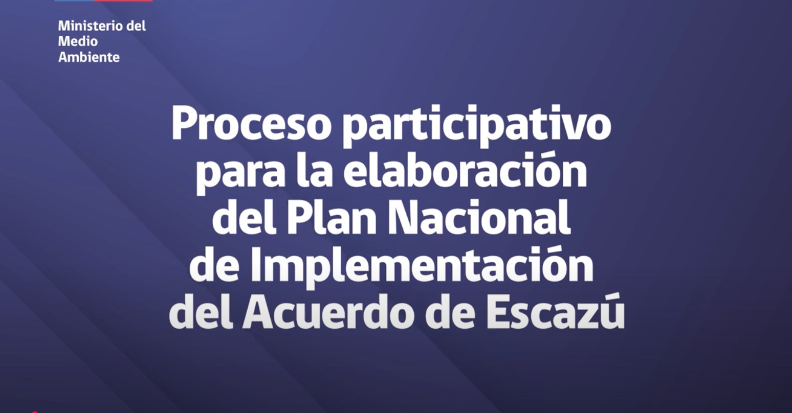 Proceso participativo para la elaboración del PIPE